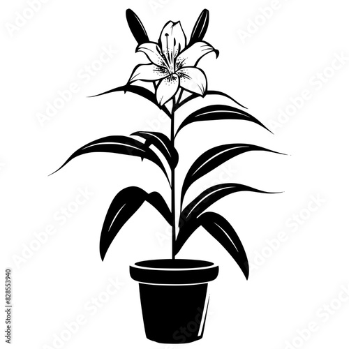 lily silhouette, lily svg, lily png, lily illustration, lily, silhouette flower, floral svg, herb svg, flower illustration, flower, floral, vector, nature, illustration, spring, design, pattern, summe