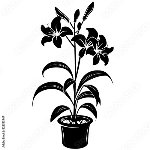 lily silhouette, lily svg, lily png, lily illustration, lily, silhouette flower, floral svg, herb svg, flower illustration, flower, floral, vector, nature, illustration, spring, design, pattern, summe