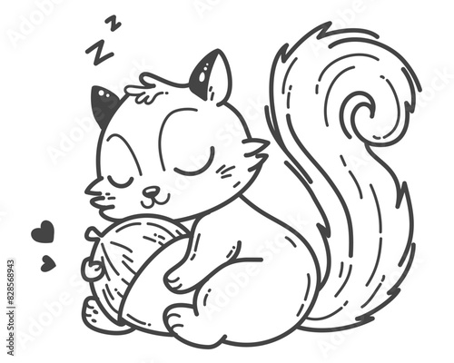 The squirrel sleeps peacefully, holding a oak acorn, its preferred meal.