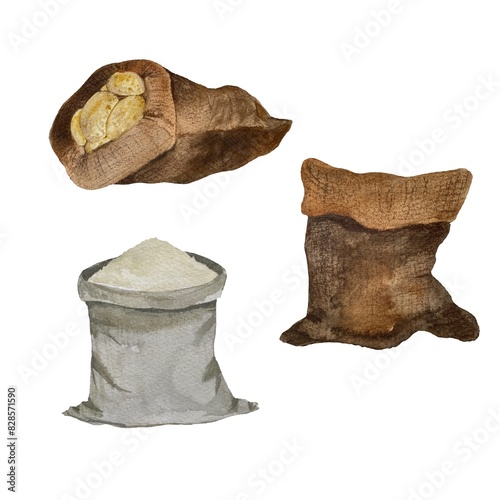 Sack flour potato brown a watercolor illustration