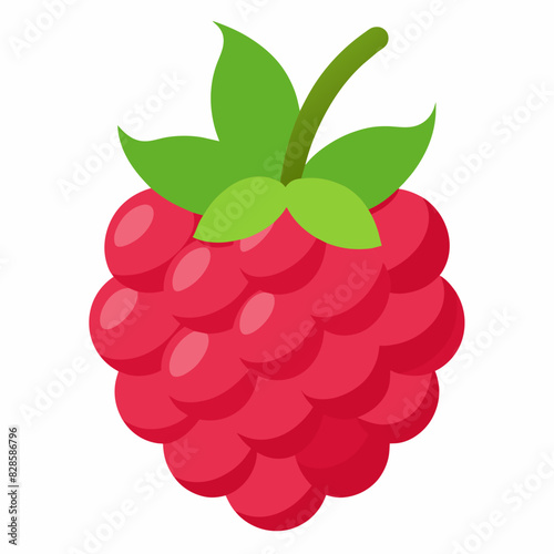 one-raspberries vector illustration 