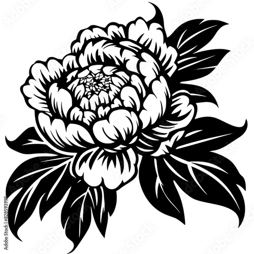 peony silhouette  peony svg  peony png  peony illustration  peony  silhouette flower  floral svg  herb svg  flower illustration  flower  floral  vector  nature  illustration  spring  design  pattern  