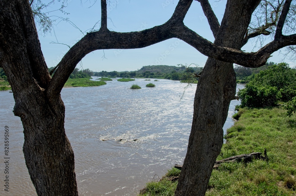 Zambezi river that borders South Africa and Zimbabwe Zambezi river that borders South Africa and Zimbabwe