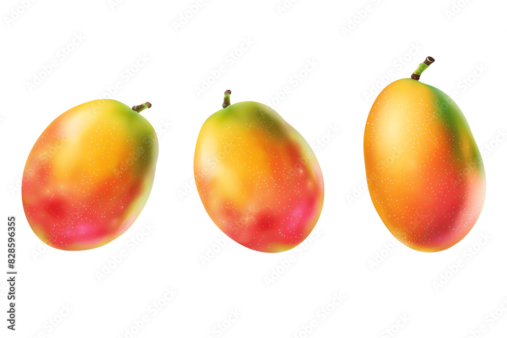 Three ripe and colorful mangoes in a row on a transparent background, perfect for tropical fruit and healthy lifestyle concepts. Three ripe and colorful mangoes in a row on a transparent background, perfect for tropical fruit and healthy lifestyle concepts.