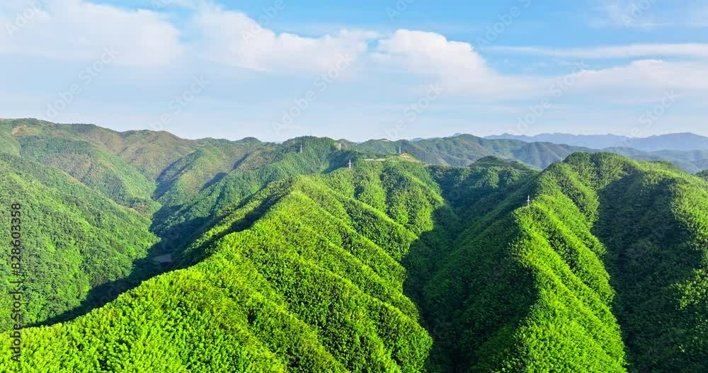 Aerial view of green forest and mountain nature landscape in summer