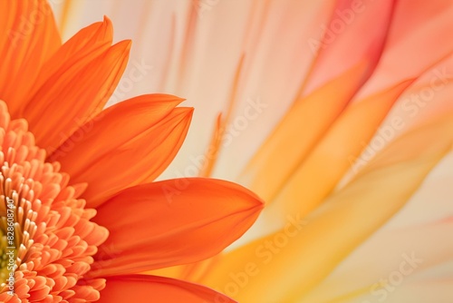 Macro Close-up of Orange Gerbera Daisy, Vibrant Petals, Detailed Flower Center, Gradient Background, Botanical Photography, High Resolution, Nature Image, Floral Beauty photo