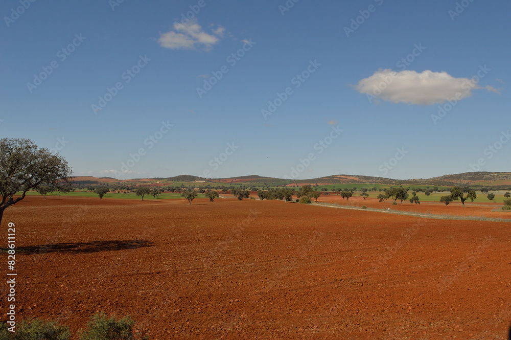 Obraz premium Campos Manchegos