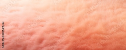 Carpet texture with soft pastel gradient background colored texture with copy space for product text or logo © Lukas