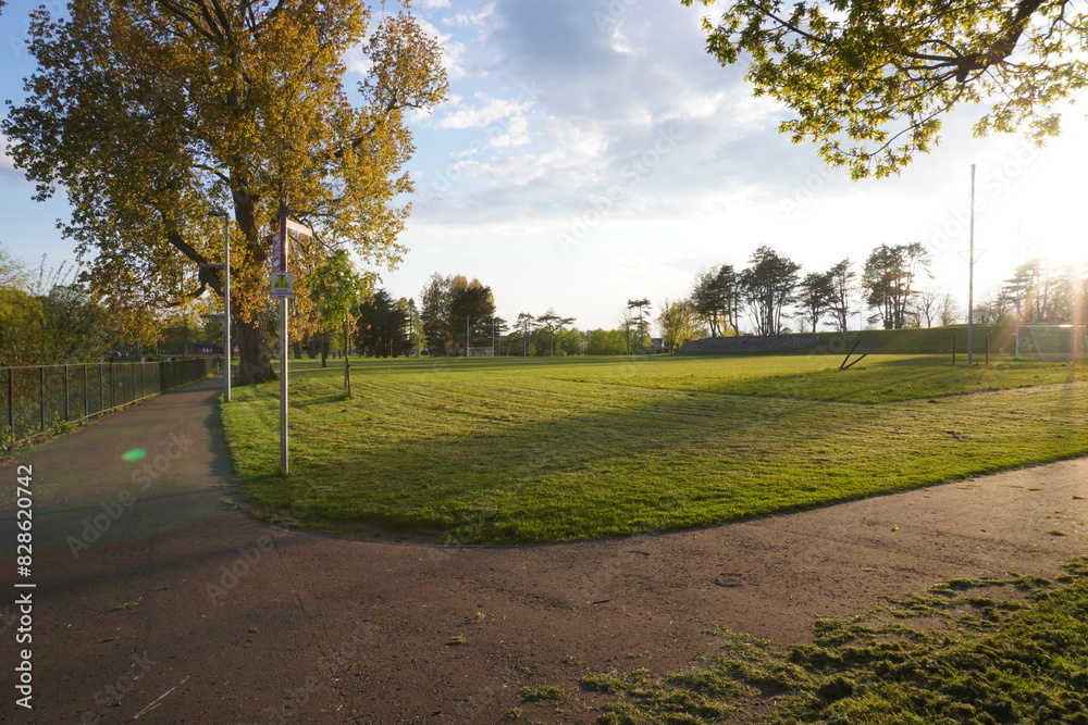 Park at sunset. Beautiful landscape in the park with green grass Park at sunset. Beautiful landscape in the park with green grass