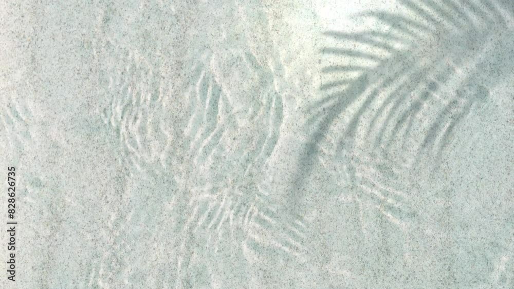 palm leaf shadow over sunny transparent rippled water at the sand beach in summertime from above, background for travel, vacation and beauty spa