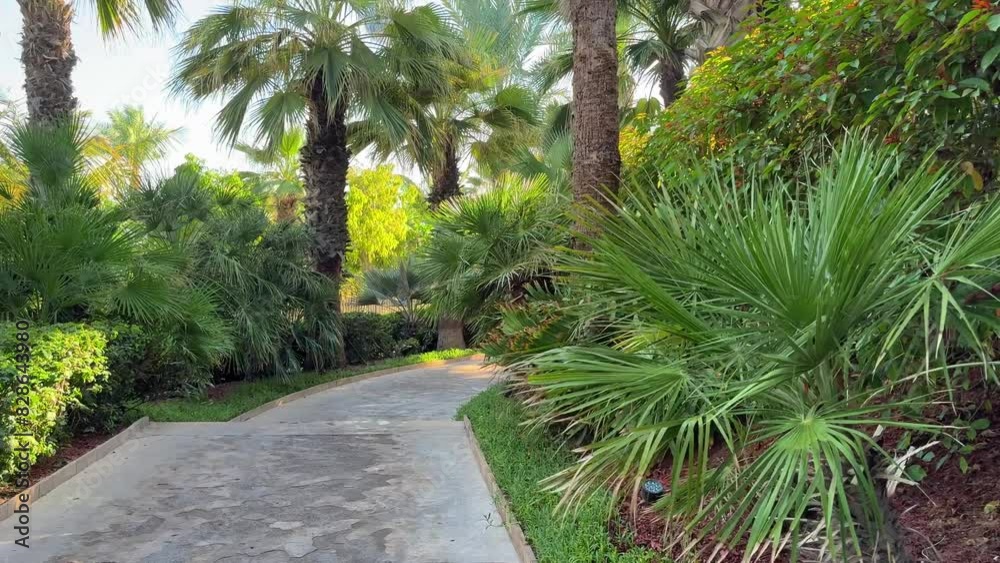 path in the garden path in the garden