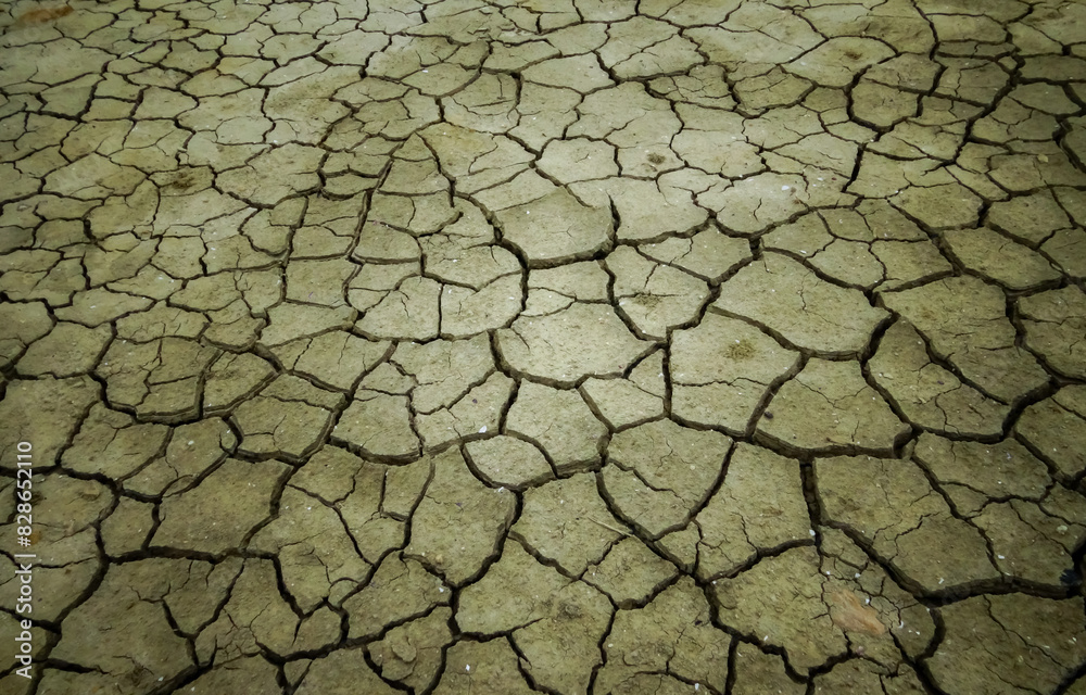 Healing silt dried up and cracked in the sun on the shore Healing silt dried up and cracked in the sun on the shore