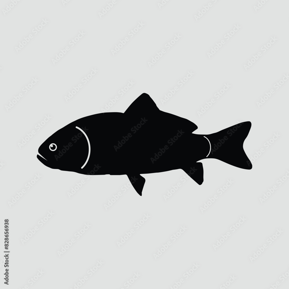 silhouette fish on white background, vector illustration silhouette fish on white background, vector illustration