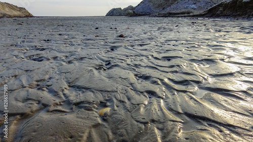 Fototapeta Naklejka Na Ścianę i Meble -  Waves on a muddy bottom in a sea channel at low tide