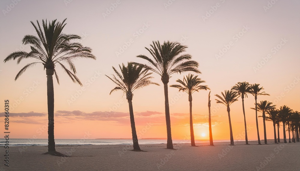 Tropical beach with palm trees during sunset 