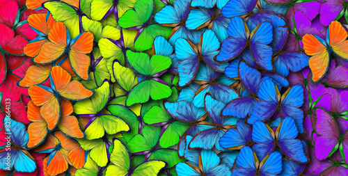 colorful background