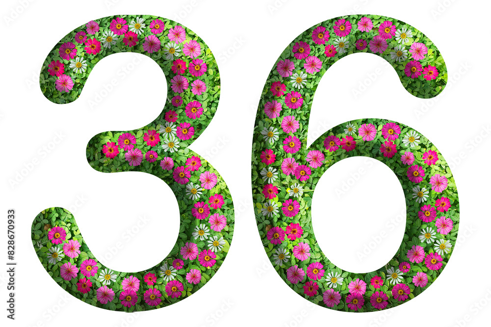 3d of the number 36 is made of green grass and beautiful flower isolated on transparent background. Go green concept for Memorial Day template 3d of the number 36 is made of green grass and beautiful flower isolated on transparent background. Go green concept for Memorial Day template