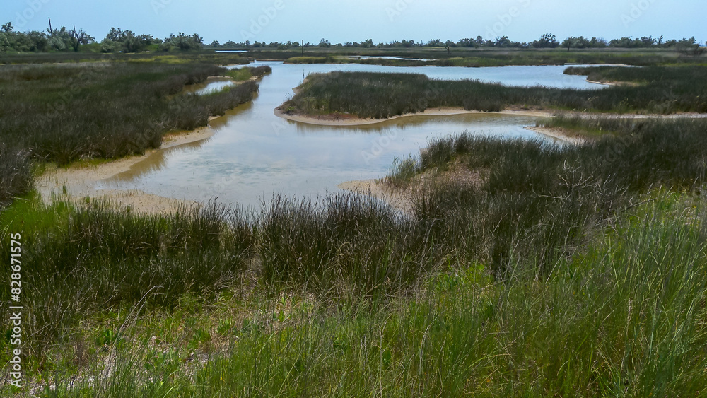 Wetland, Shallow lakes and a swamp overgrown with aquatic vegetation, Kinbur Spit, Ukraine Wetland, Shallow lakes and a swamp overgrown with aquatic vegetation, Kinbur Spit, Ukraine
