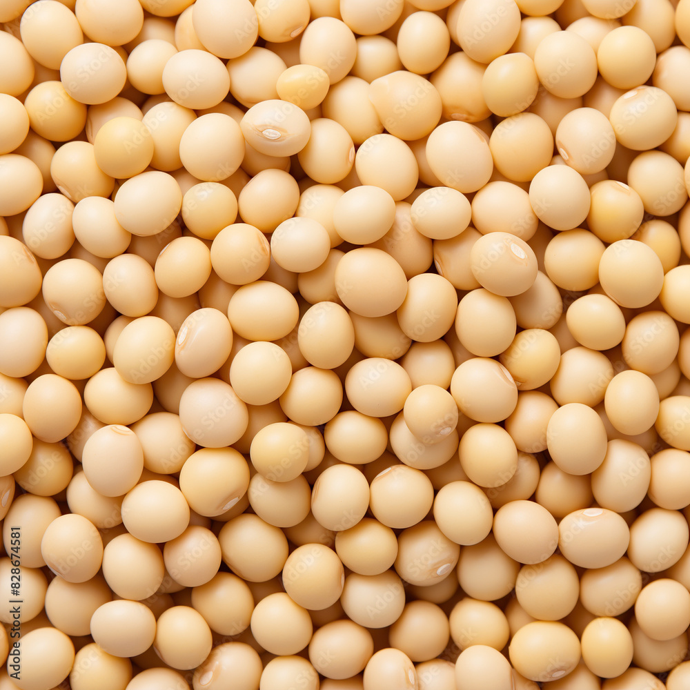 Real soy bean isolated on white background Real soy bean isolated on white background