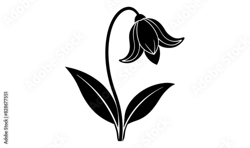 bluebell flower vector silhouette illustration