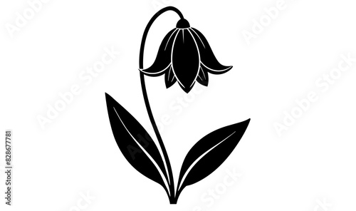 bluebell flower vector silhouette illustration