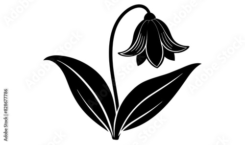 bluebell flower vector silhouette illustration