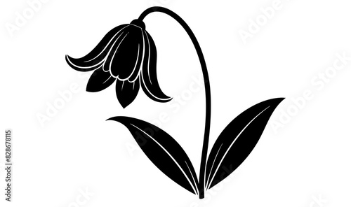 bluebell flower vector silhouette illustration