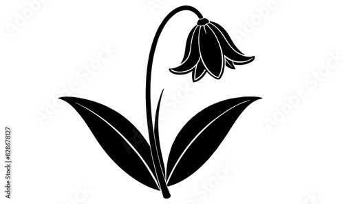 bluebell flower vector silhouette illustration