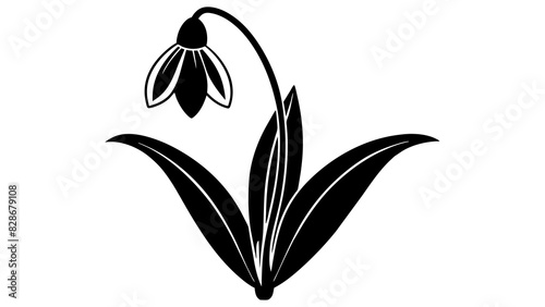 bluebell flower vector silhouette illustration