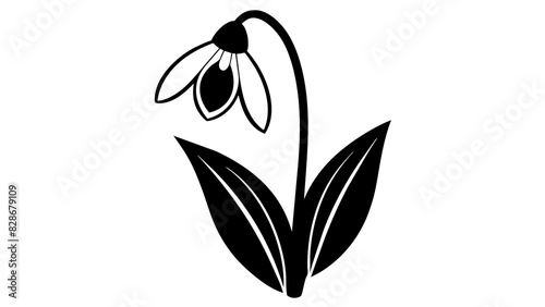 bluebell flower vector silhouette illustration