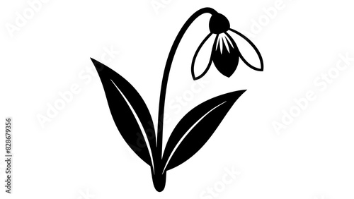 bluebell flower vector silhouette illustration