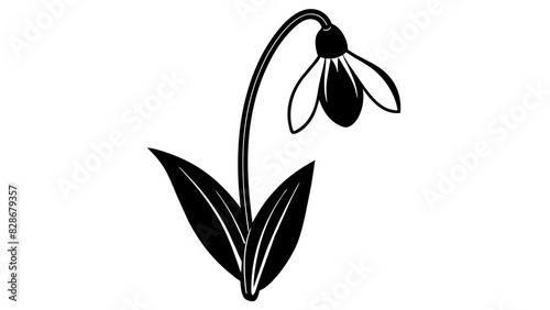 bluebell flower vector silhouette illustration