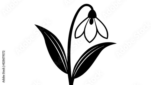 bluebell flower vector silhouette illustration