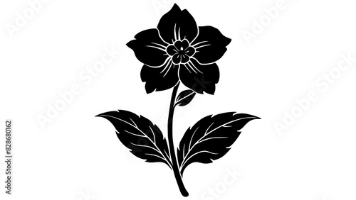 delphinium flower vector silhouette illustration