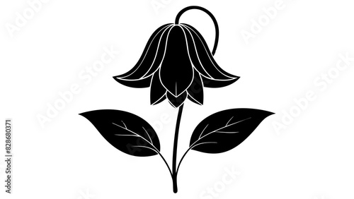 bluebell flower vector silhouette illustration