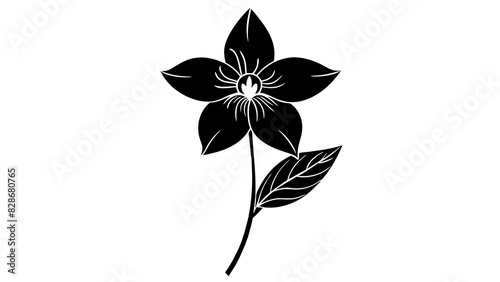 delphinium flower vector silhouette illustration