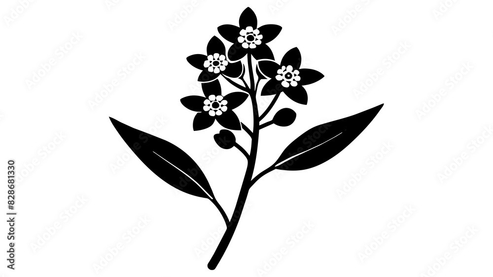 yarrow flower vector silhouette illustration yarrow flower vector silhouette illustration