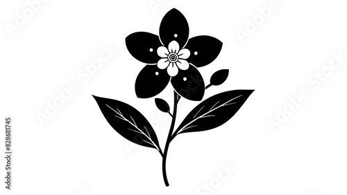 waxflower vector silhouette illustration