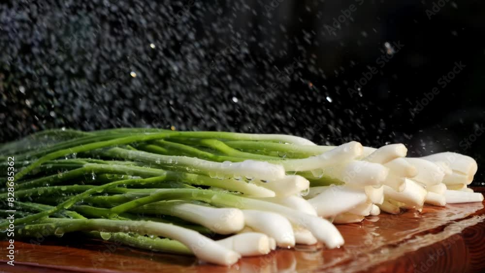 Green young onion. Green onion shoots are washed with water. Vegetables from the garden to the table. Vitamins from nature. Green young onion. Green onion shoots are washed with water. Vegetables from the garden to the table. Vitamins from nature.