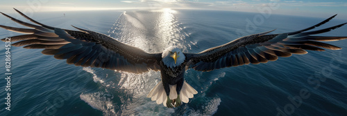An eagle with silver wings flies over the ocean photo