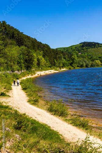 Lac de Saint-Ferréol, classé au Patrimoine Mondial de l’UNESCO, entouré de pins photo