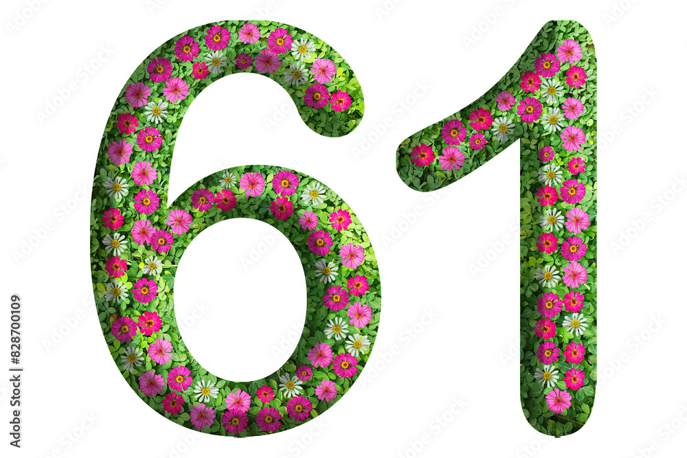 3d of the number 61 is made of green grass and beautiful flower isolated on transparent background. Go green concept for Memorial Day template 3d of the number 61 is made of green grass and beautiful flower isolated on transparent background. Go green concept for Memorial Day template
