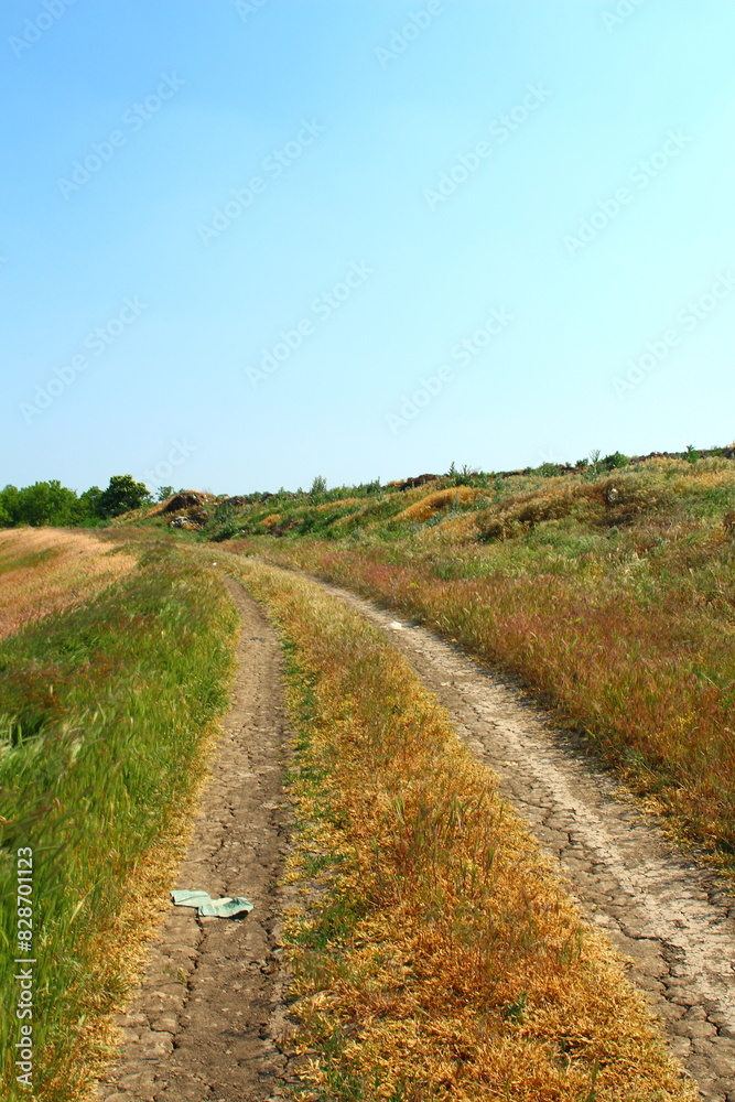 A dirt road with grass and trees A dirt road with grass and trees