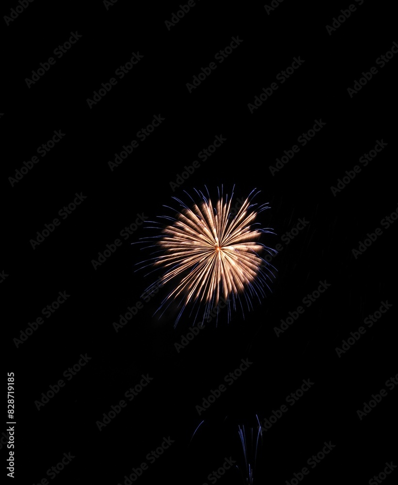 Fototapeta premium 打上げ花火