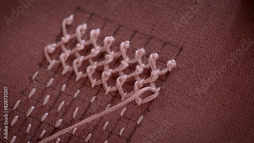 Enchanting Encounter: Asian Women Observe Majestic Elephants in Sri Lanka