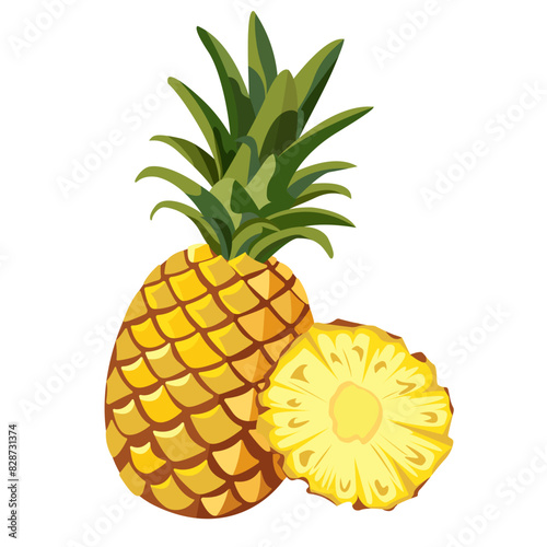 Vector image of pineapple and sliced pineapple slices on isolated white background. Citrus fruits. Set of icons Ripe and delicious product.
