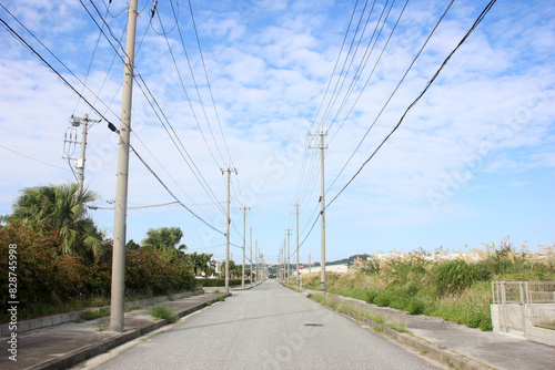 道路と電柱 photo