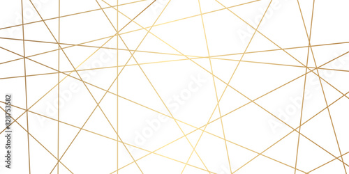 Luxury premium shiny golden geometric lines overlap design for cosmetic product cover background. Vector geometric luxury golden lines for banner, template, book cover, cosmetic product cover.   photo