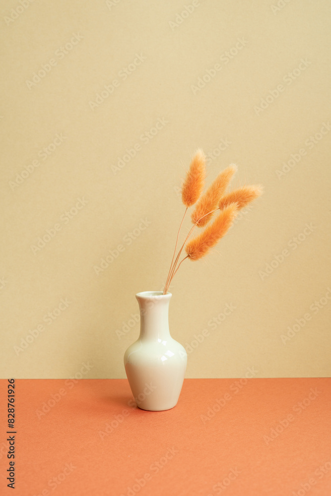 Vase of orange Lagurus ovatus dry flower on red table. khaki beige background