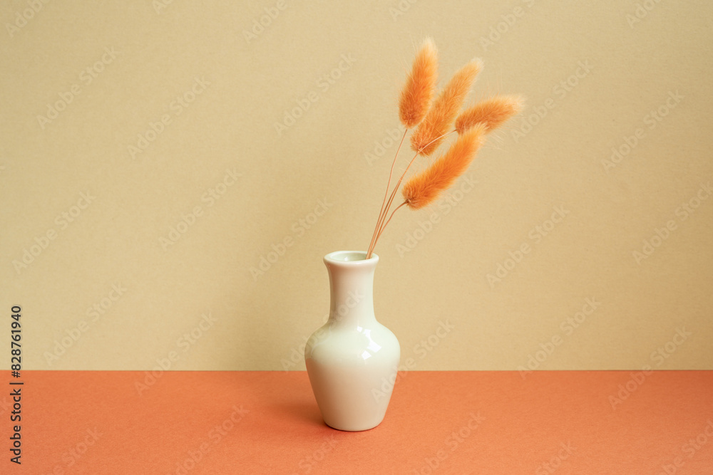Vase of orange Lagurus ovatus dry flower on red table. khaki beige background